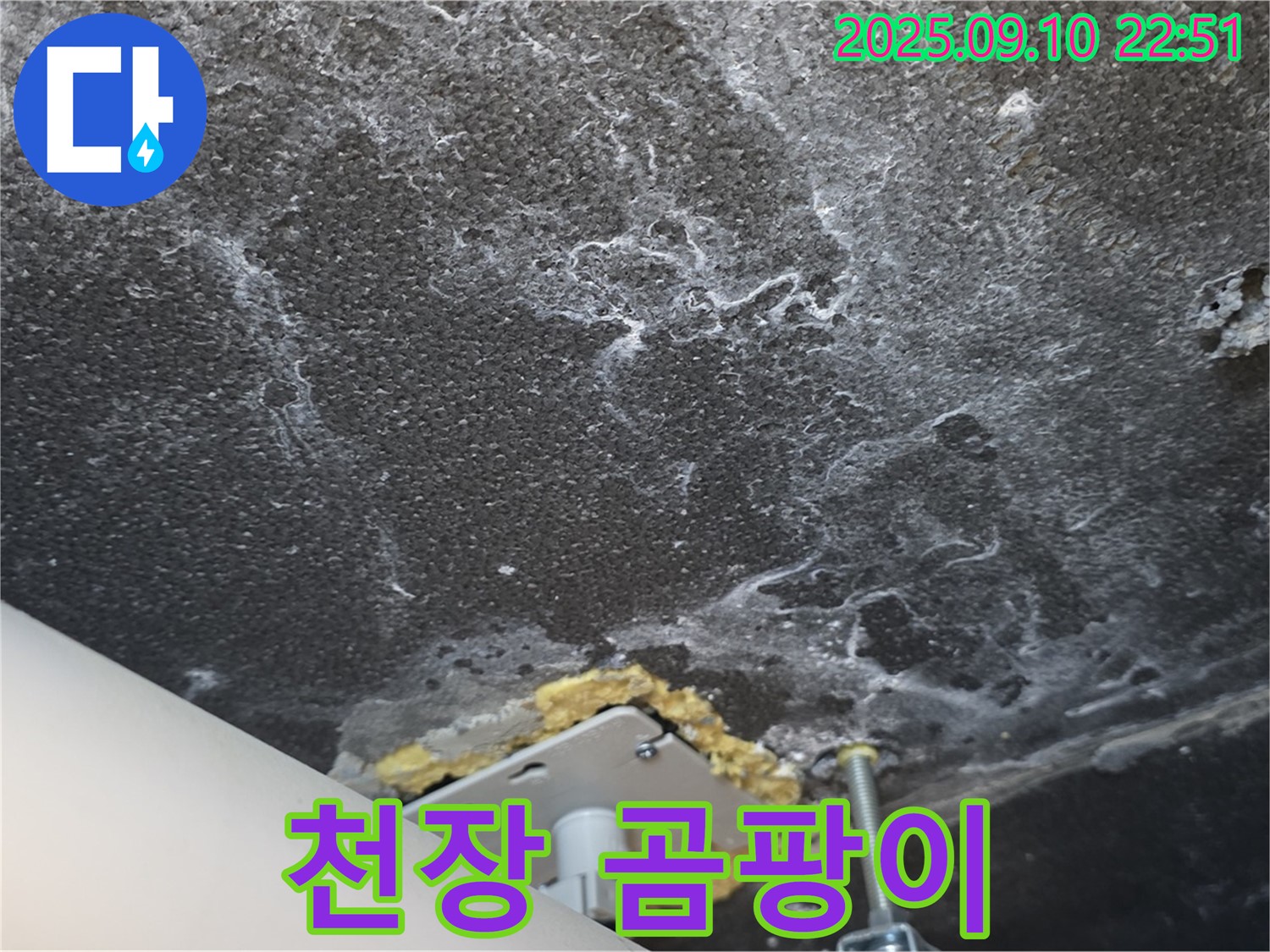 천장에 곰팡이가 발생한 모습 사진 - 누수와 곰팡이의 연관성을 보여줍니다.