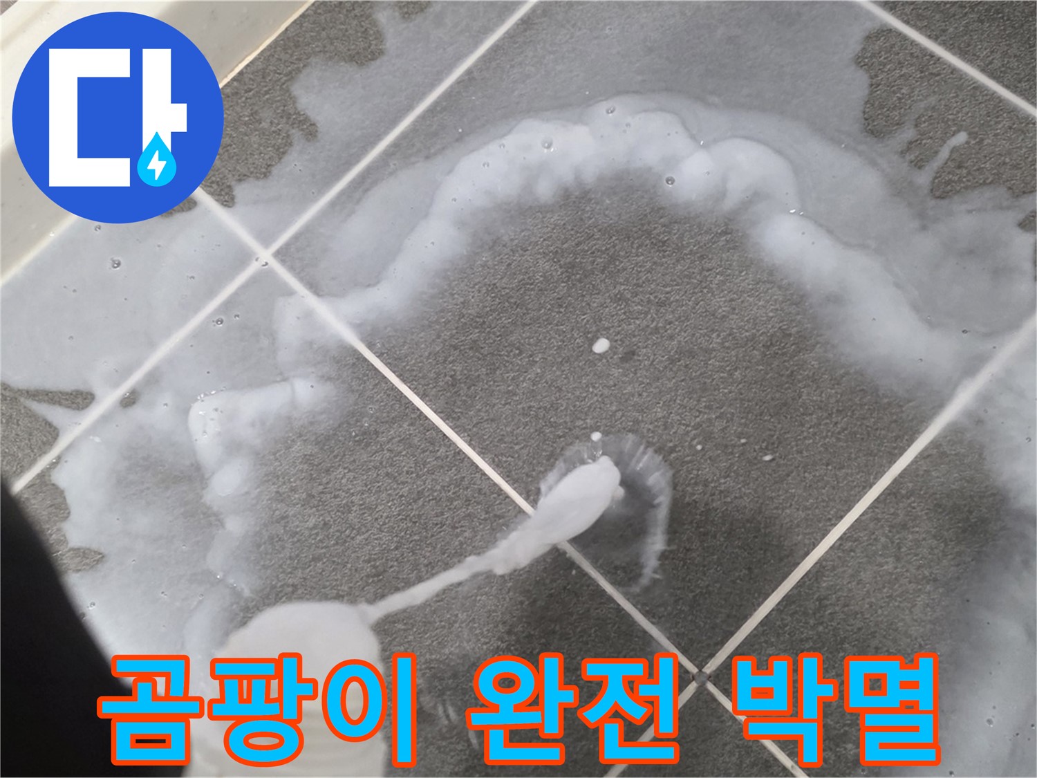 파주 동패동 아파트 욕실 - 곰팡이 완전 박멸로 깨끗한 욕실 완성