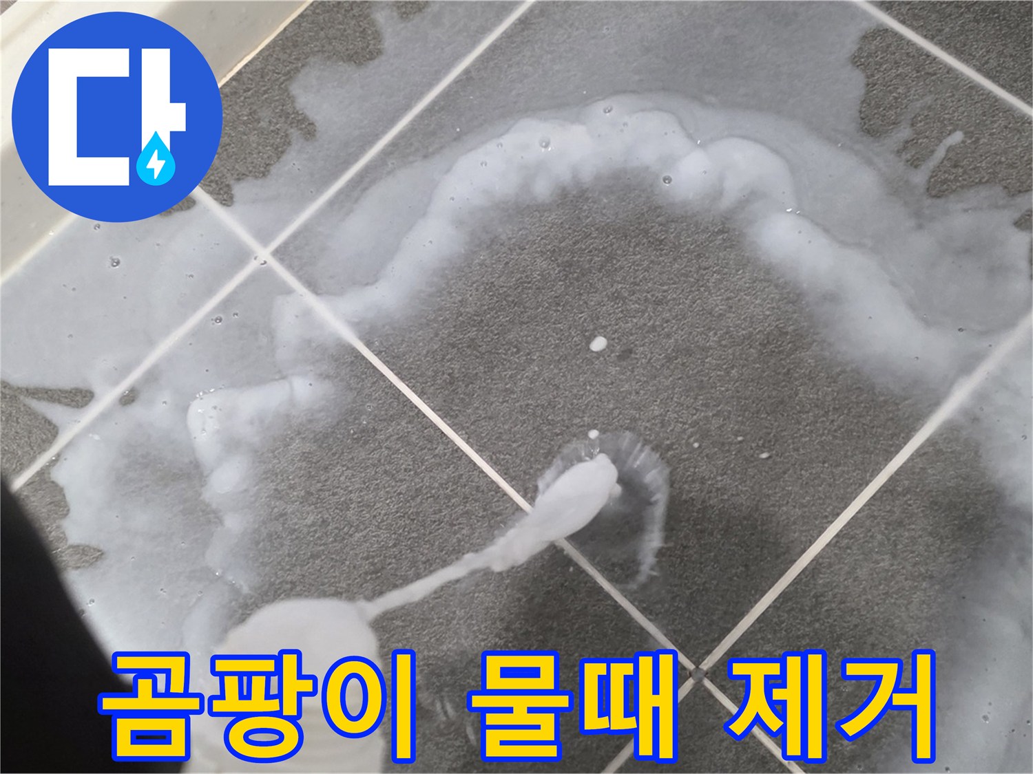 파주 동패동 아파트 욕실 - 곰팡이와 물때 제거로 깨끗한 욕실 완성