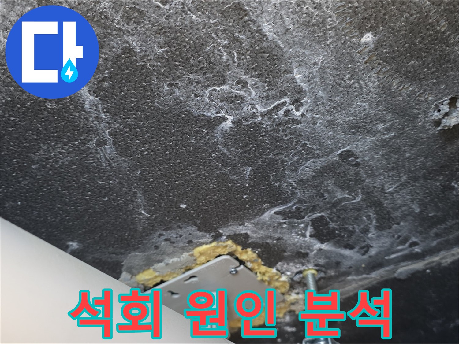 파주시 동패동 누수 - 천장 석회 누수 원인 꼼꼼하게 분석