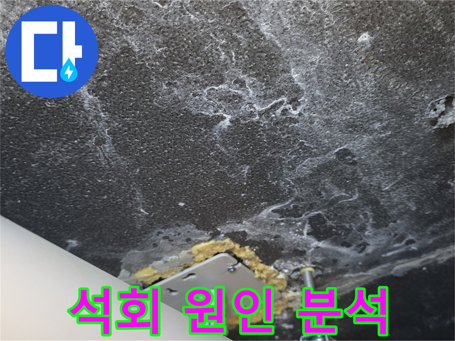 파주시 동패동 아파트 누수 - 천장 석회 누수 원인 심층 분석