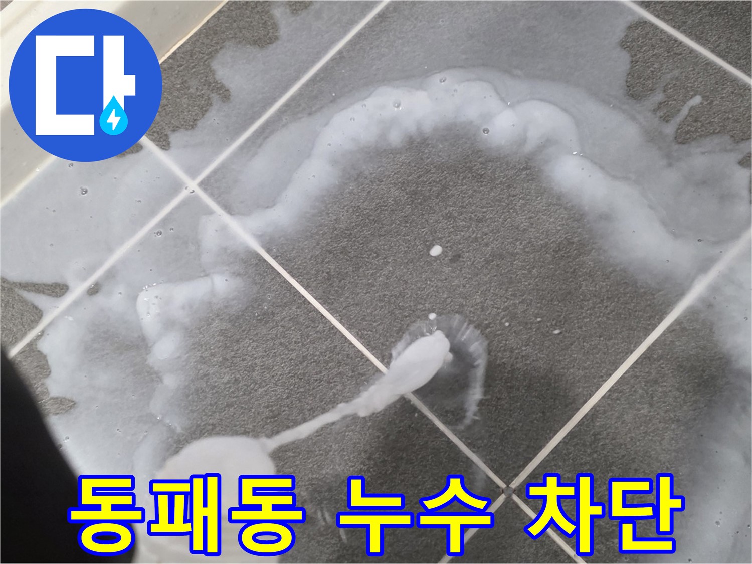 파주시 동패동 아파트 욕실 - 타일 틈새 방수로 누수 완벽 차단 시공