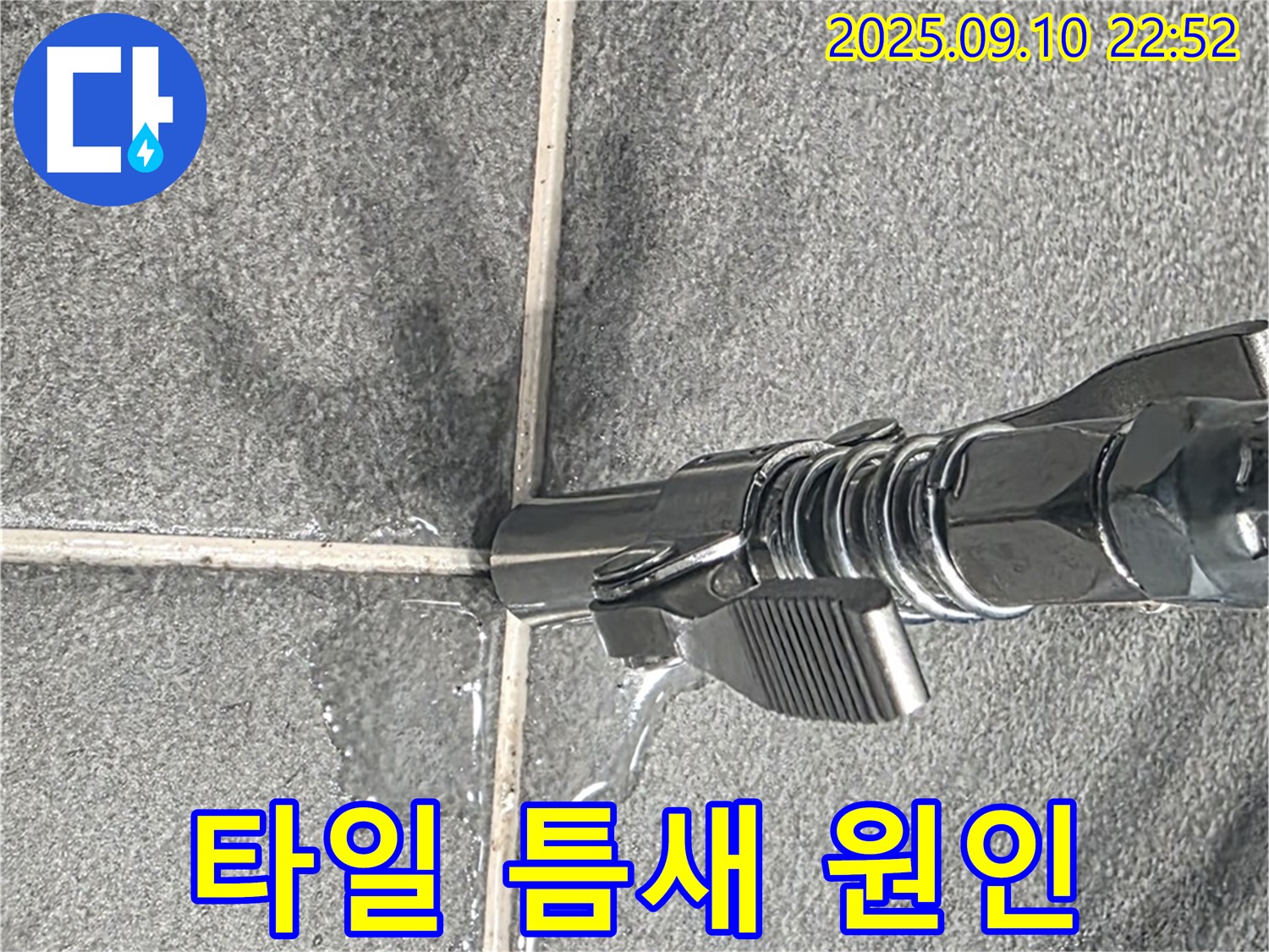 파주시 동패동 아파트 - 타일 틈새에서 물이 새는 원인을 꼼꼼하게 분석하고 있습니다. - 정밀 분석 중.