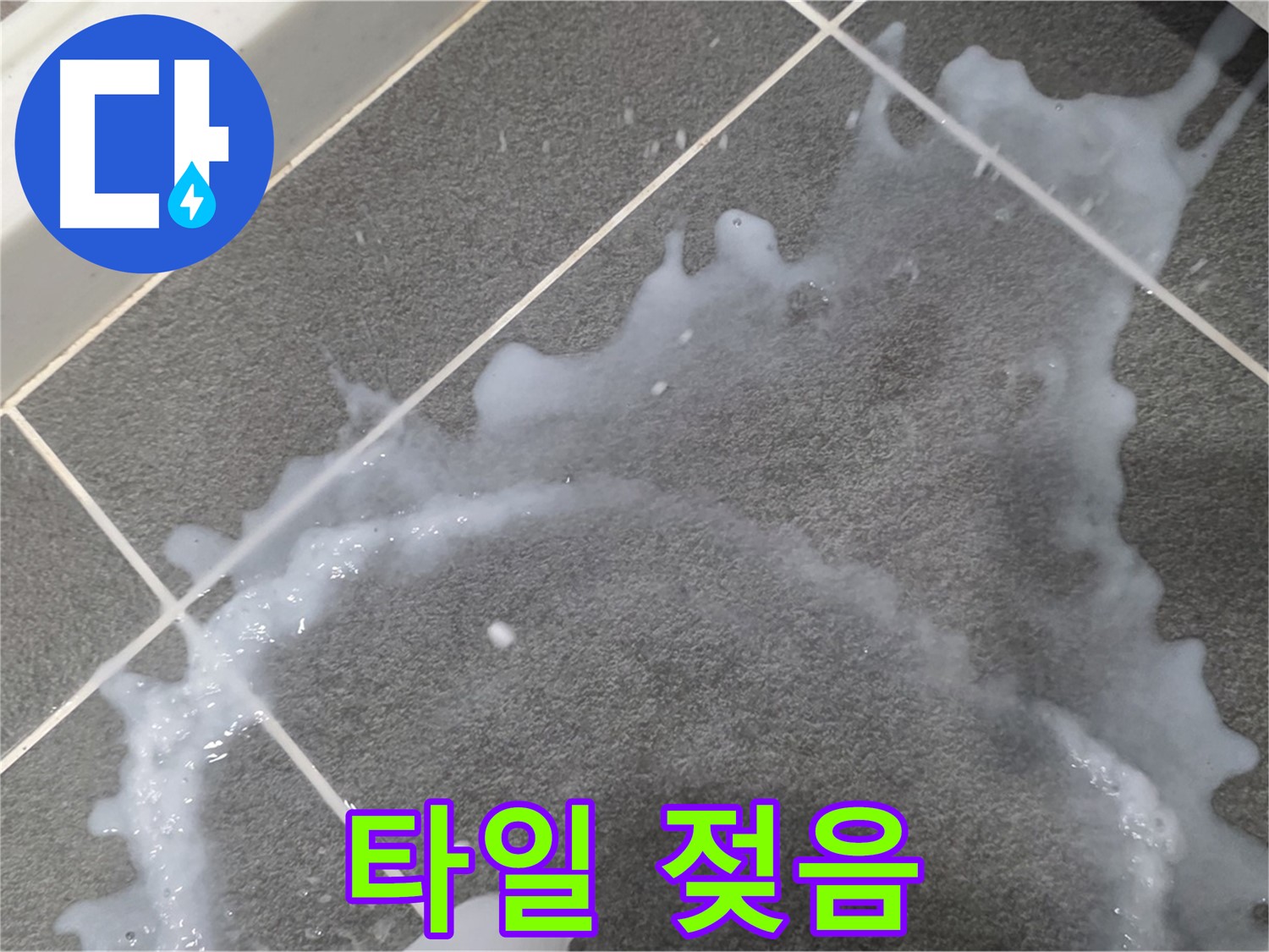 파주시 동패동 운정어반프라임 1201동 아파트 타일 젖음 - 누수탐지 전문 업체가 누수 진단과 책임감 있는 시공으로 문제를 해결합니다.