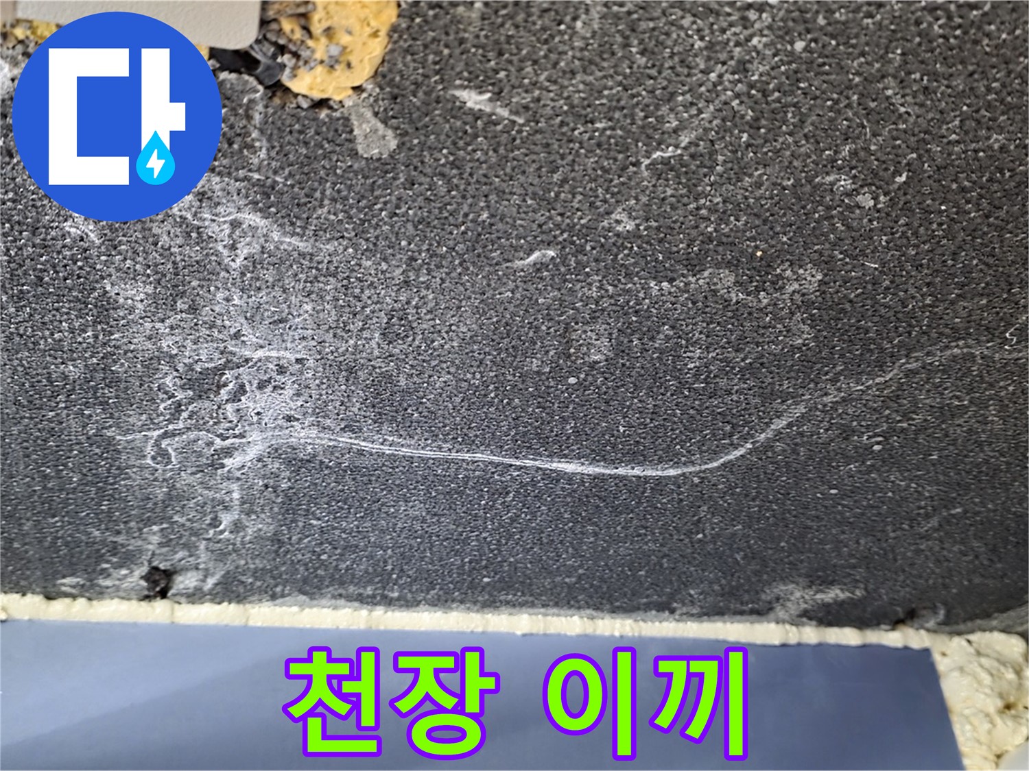 파주시 동패동 운정어반프라임 아파트 천장 누수 - 이끼 발생으로 인한 누수 의심