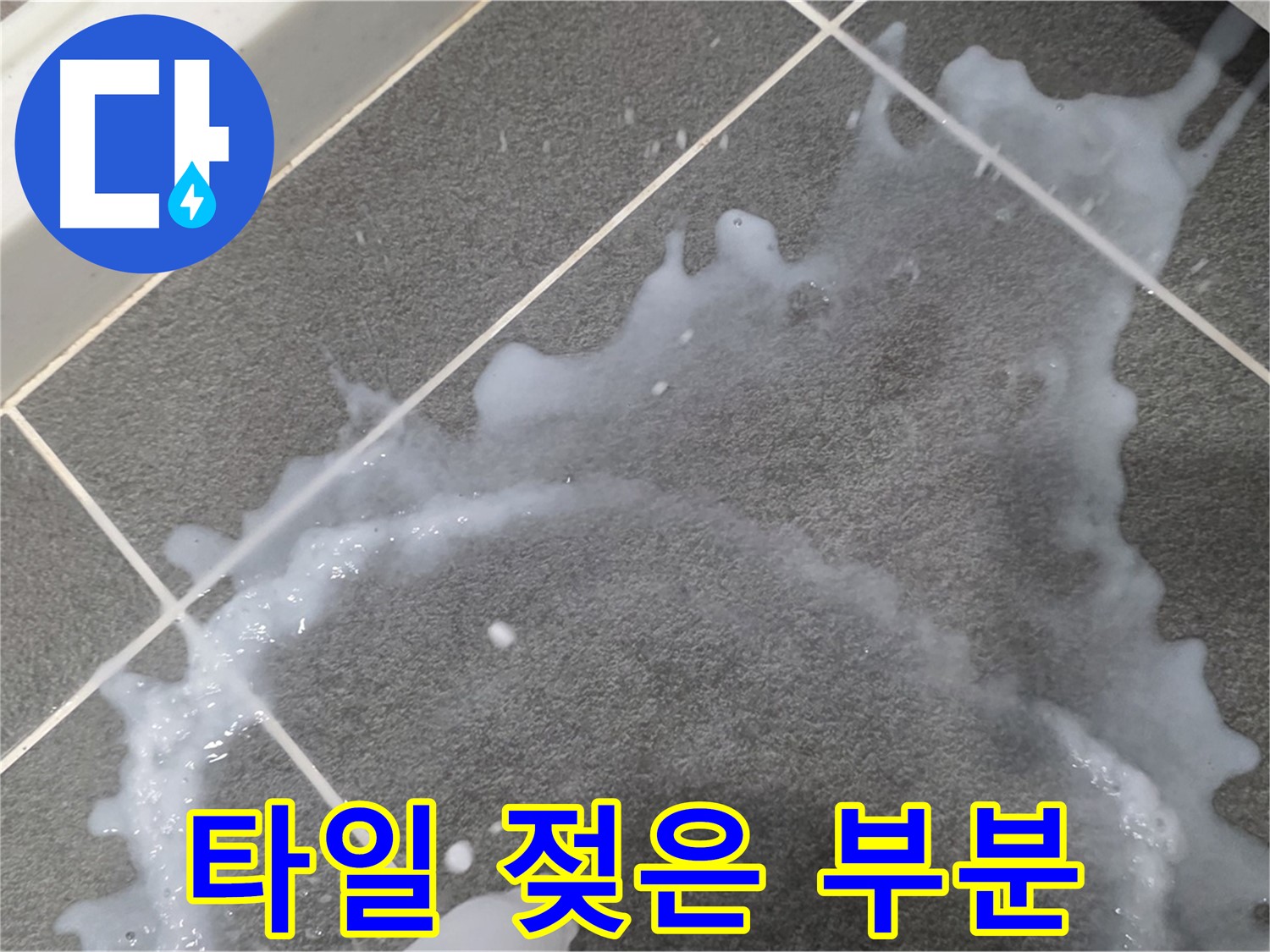 파주시 동패동 운정어반프라임 타일 젖은 부분 - 누수탐지 전문 업체가 초기 누수 진단과 꼼꼼한 시공으로 문제를 해결합니다.