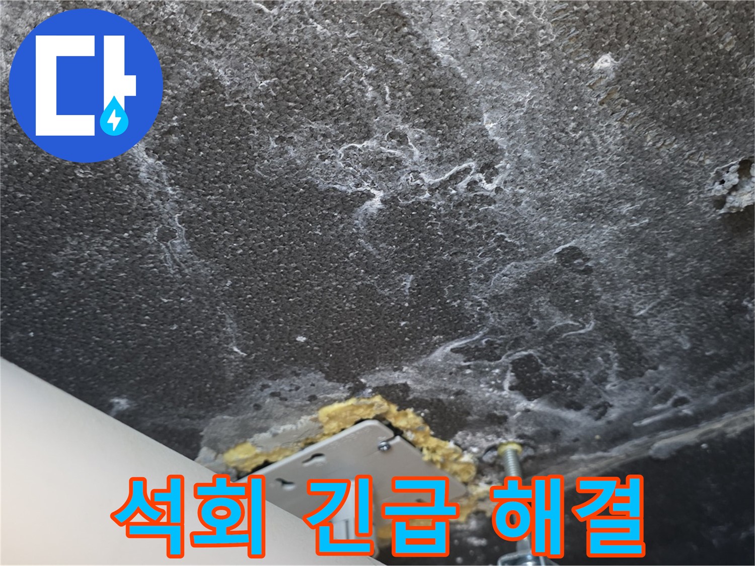 파주시 동패동 천장 누수 석회 - 긴급 누수 신속 해결