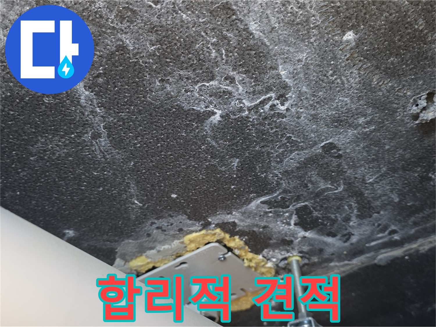 합리적인 누수 견적 - 투명하고 정직한 가격