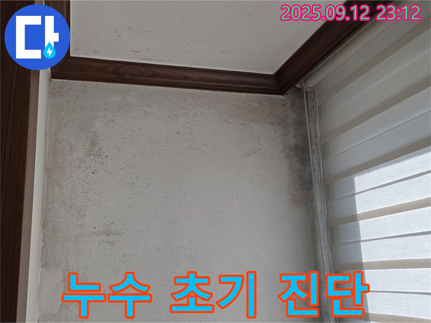 노원구 중계동 현대5차 211동 아파트 누수 현장 - 곰팡이와 함께 누수 초기 증상을 발견하고 진단하는 모습입니다.