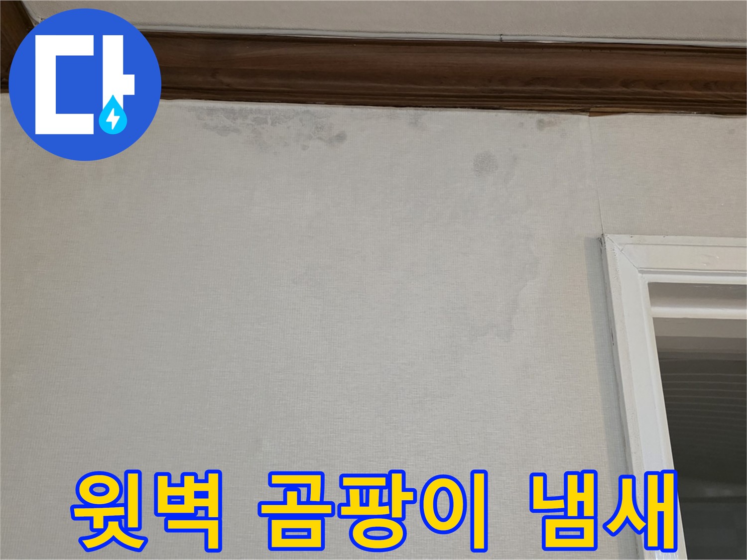 노원구 중계동 현대5차 211동 윗벽 곰팡이 - 곰팡이 냄새 제거까지 완벽