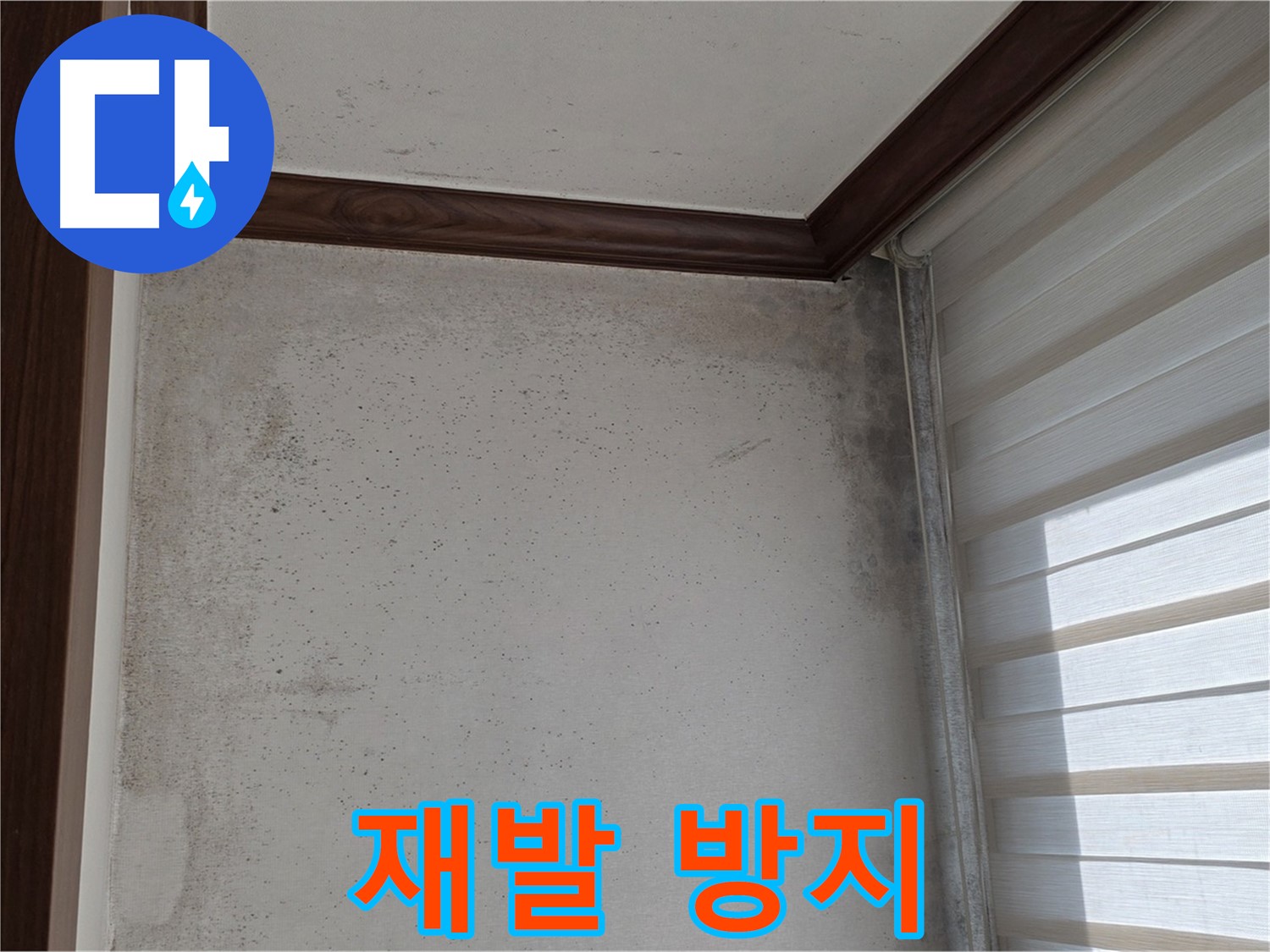 중계2동 현대5차 곰팡이 누수 - 확실한 해결, 재발 방지 약속드립니다.