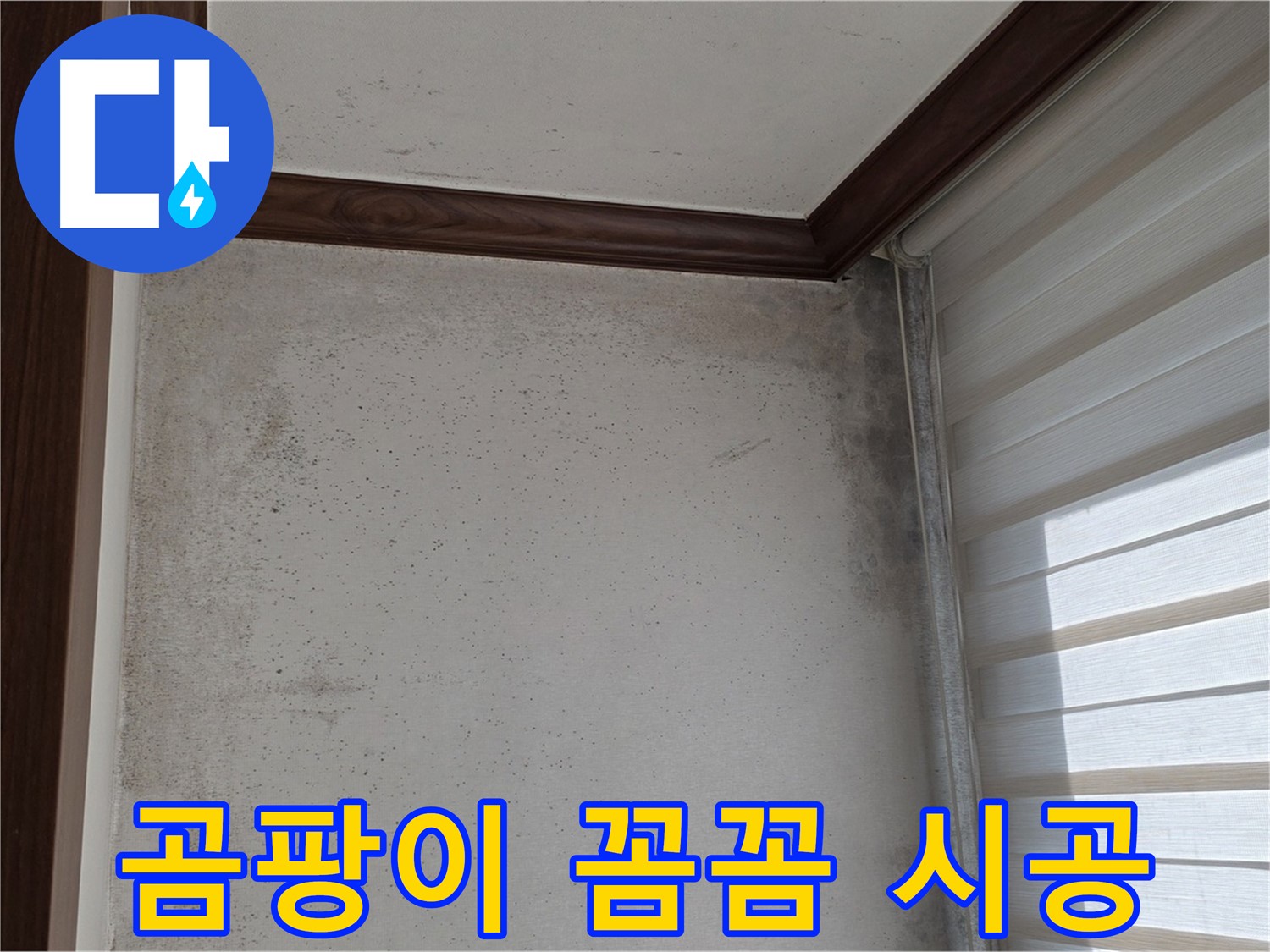 중계2동 현대5차 아파트 곰팡이 누수 - 꼼꼼한 시공으로 완벽 해결