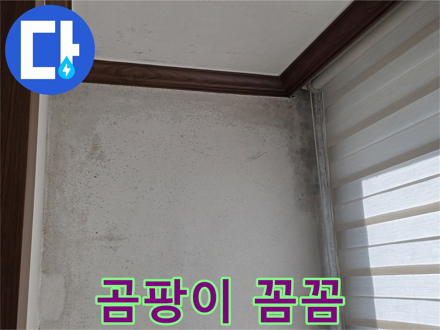 중계2동 현대5차 아파트 곰팡이 누수 - 꼼꼼한 시공으로 완벽 해결 약속