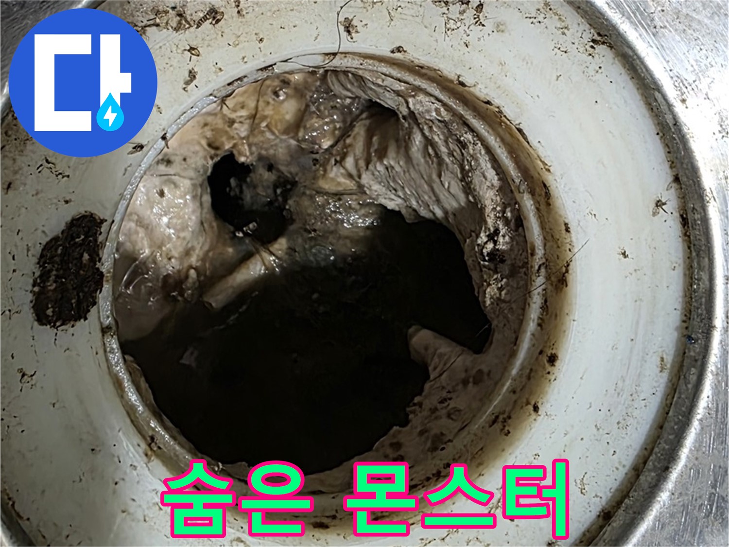 중계동 현대5차 211동 누수 - 배수구 속 숨겨진 몬스터, 정체는?