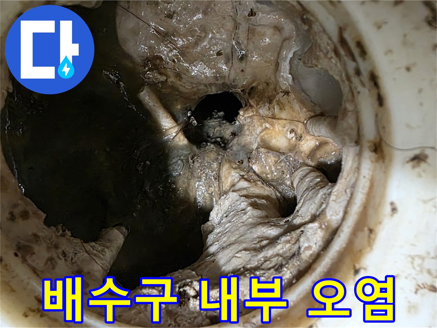 중계동 현대5차 211동 아파트 싱크대 배수구 내부 오염 상태 - 누수 위험
