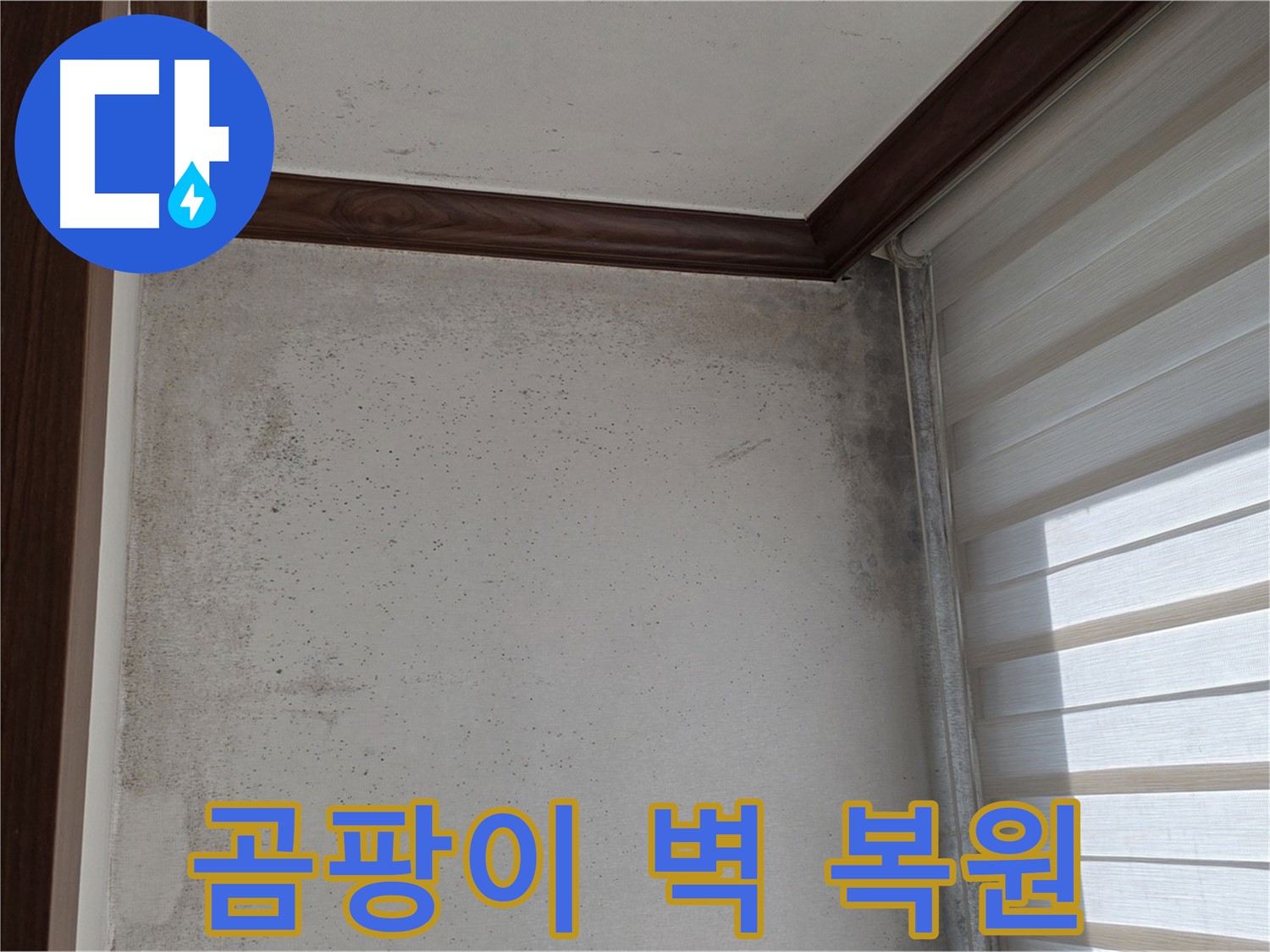 중계동 현대5차 곰팡이 벽 - 누수 해결 후 깨끗하게 복원된 벽면