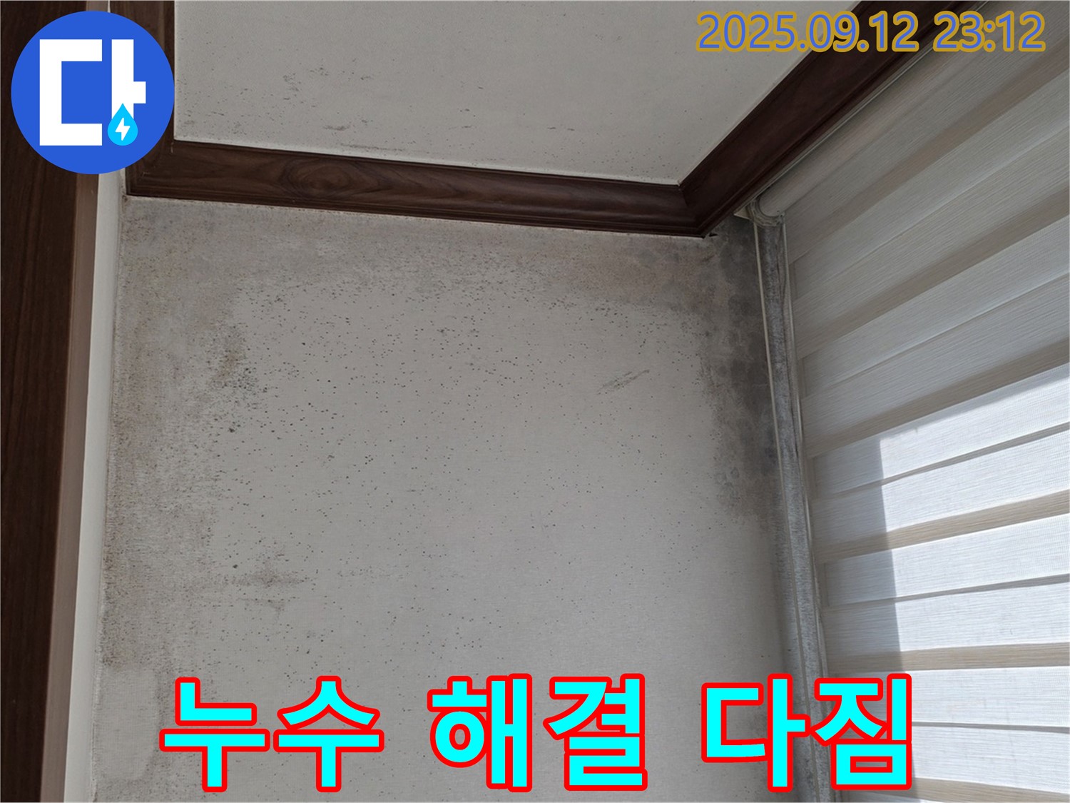 중계동 현대5차 아파트 누수 현장 - 곰팡이 문제를 완전히 해결하기 위한 누수 해결 작전, 완벽한 마무리를 다짐하는 모습입니다.