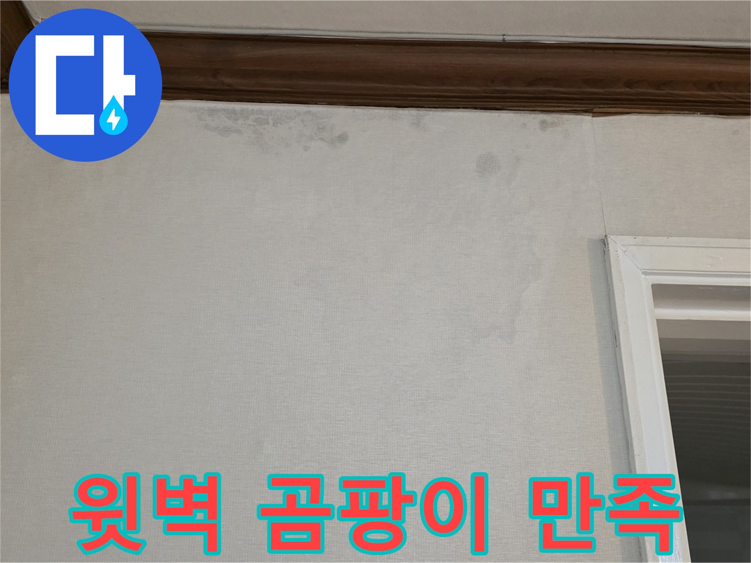 중계동 현대5차 아파트 윗벽 곰팡이 - 고객 만족 100% 약속
