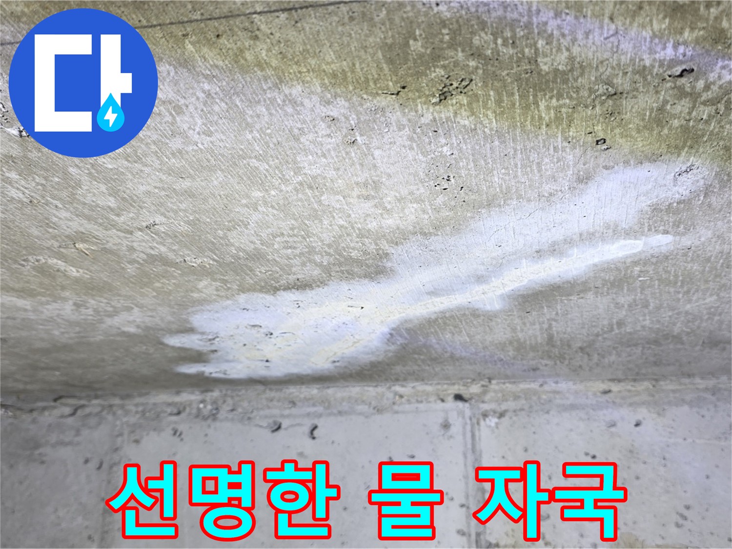 중계로8길 39 현대5차 누수 - 선명한 물 자국 확인 - 누수 심각