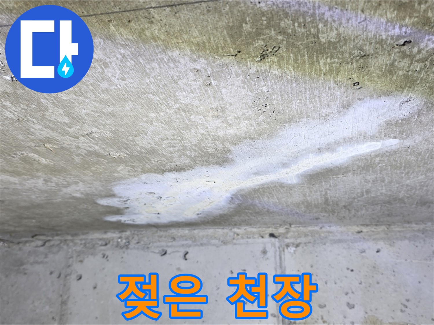 중계로8길 39 현대5차 천장 누수 - 젖은 흔적 발견 - 누수 확인