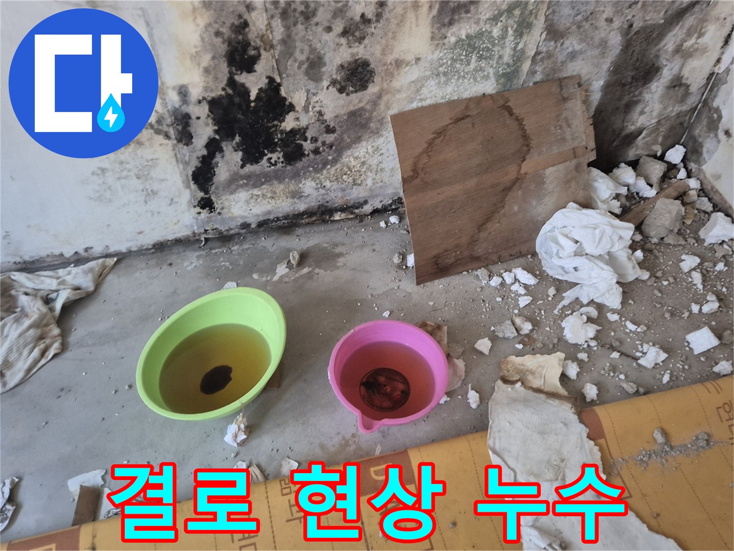 도봉구 숭미가든빌라 결로 현상 누수 현장 - 벽에 곰팡이가 심하게 피어있고, 물방울이 맺혀있는 모습입니다. 결로와 누수가 복합적으로 발생한 상황.