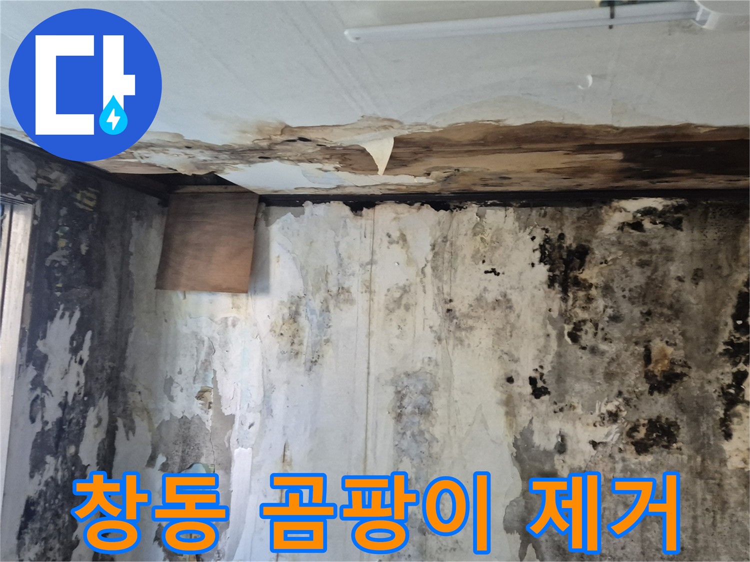 창동 곰팡이 누수 해결 과정 - 누수 원인 진단부터 완벽한 시공까지 꼼꼼하게 담았습니다.