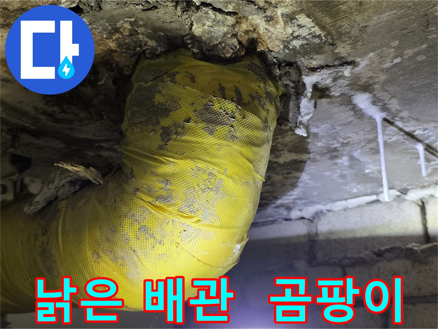낡은 배관의 눈물 - 곰팡이와의 전쟁 - 신사동 아파트