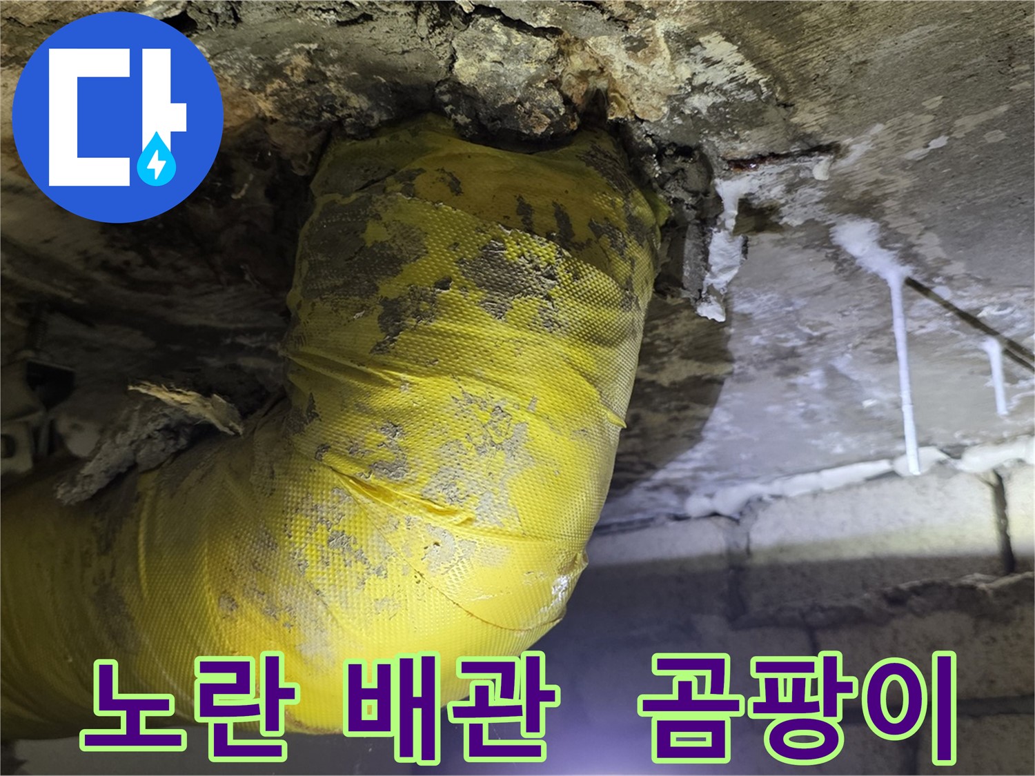노란 배관의 공격, 곰팡이와 악취 - 신사동 새절역 인근 누수 긴급 출동