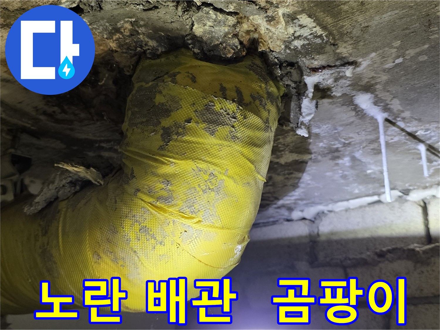 노란 배관의 최후, 곰팡이와 악취 - 신사동 새절역 인근 누수 긴급 해결