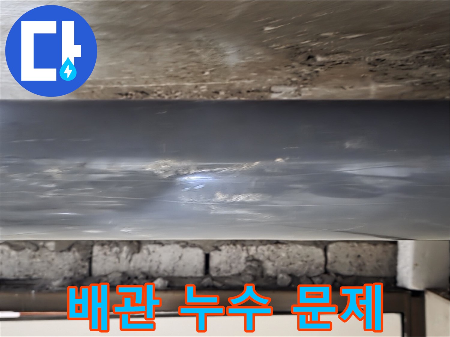 배관 누수 문제 확인 - 누수탐지 전문가의 정확한 진단.