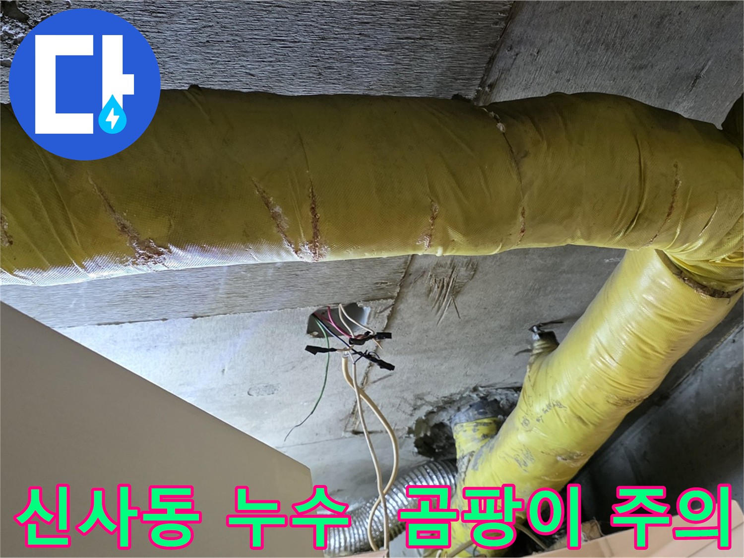 신사동 아파트 누수 - 환풍기 주변 곰팡이 발생 - 철저한 점검 필요