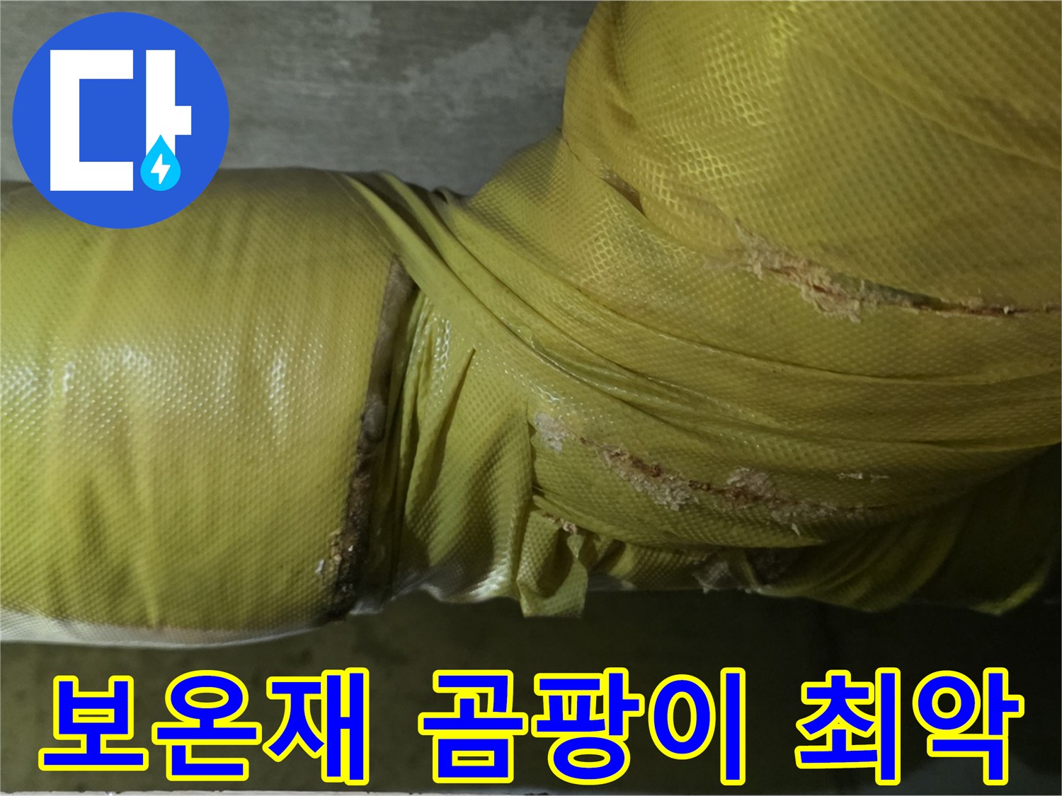 보온재 속 곰팡이 - 실내 공기 질 최악, 건강 위협, 전문적인 케어가 필요합니다.