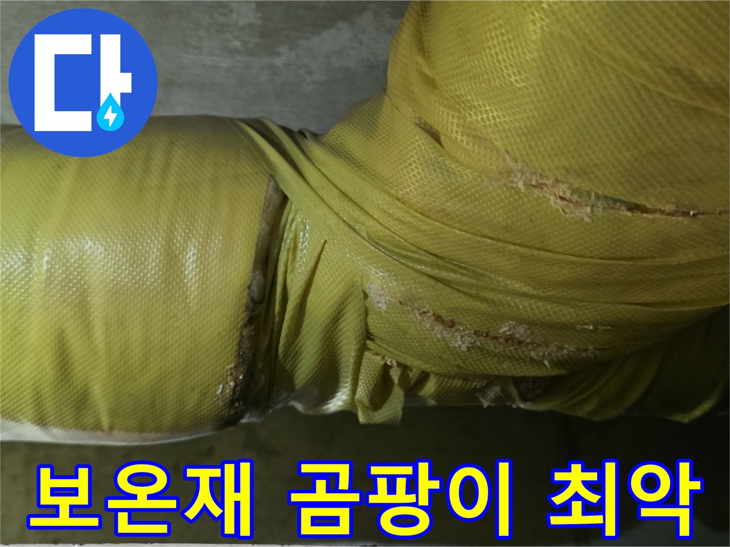 보온재 속 곰팡이 - 실내 공기 최악, 건강 위협 심각, 전문적인 제거 및 관리가 시급합니다.