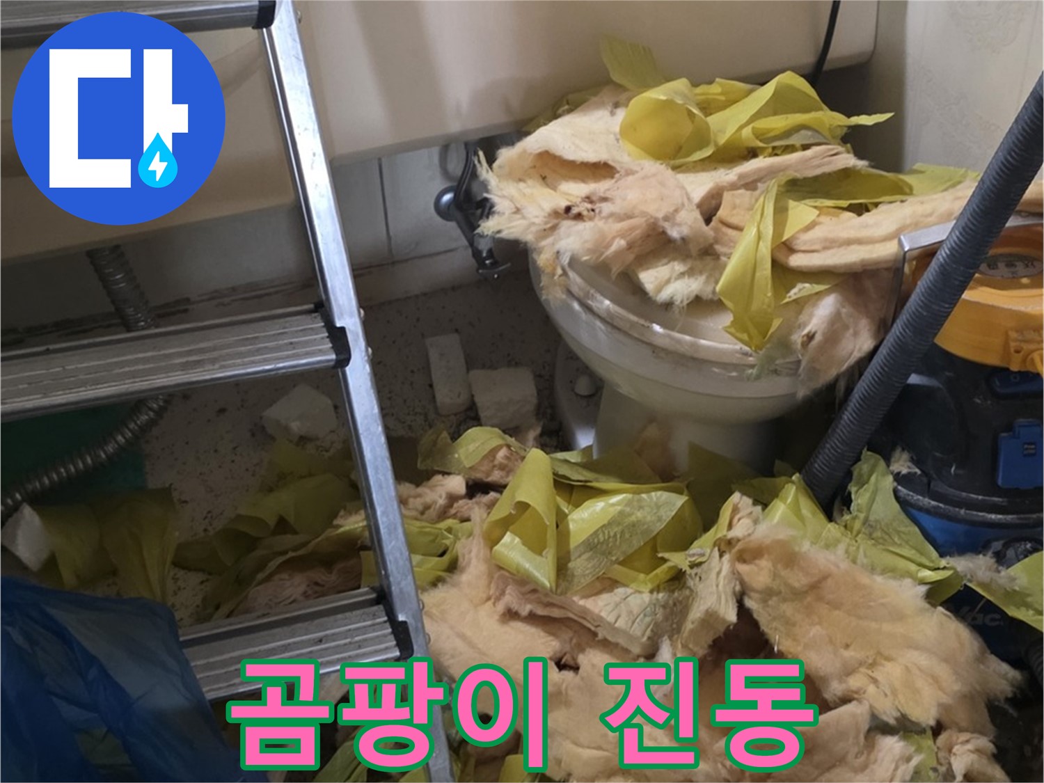 새절 누수 현장 - 물이 뚝뚝 떨어지는 배관, 곰팡이 냄새 진동 - 건강에 최악