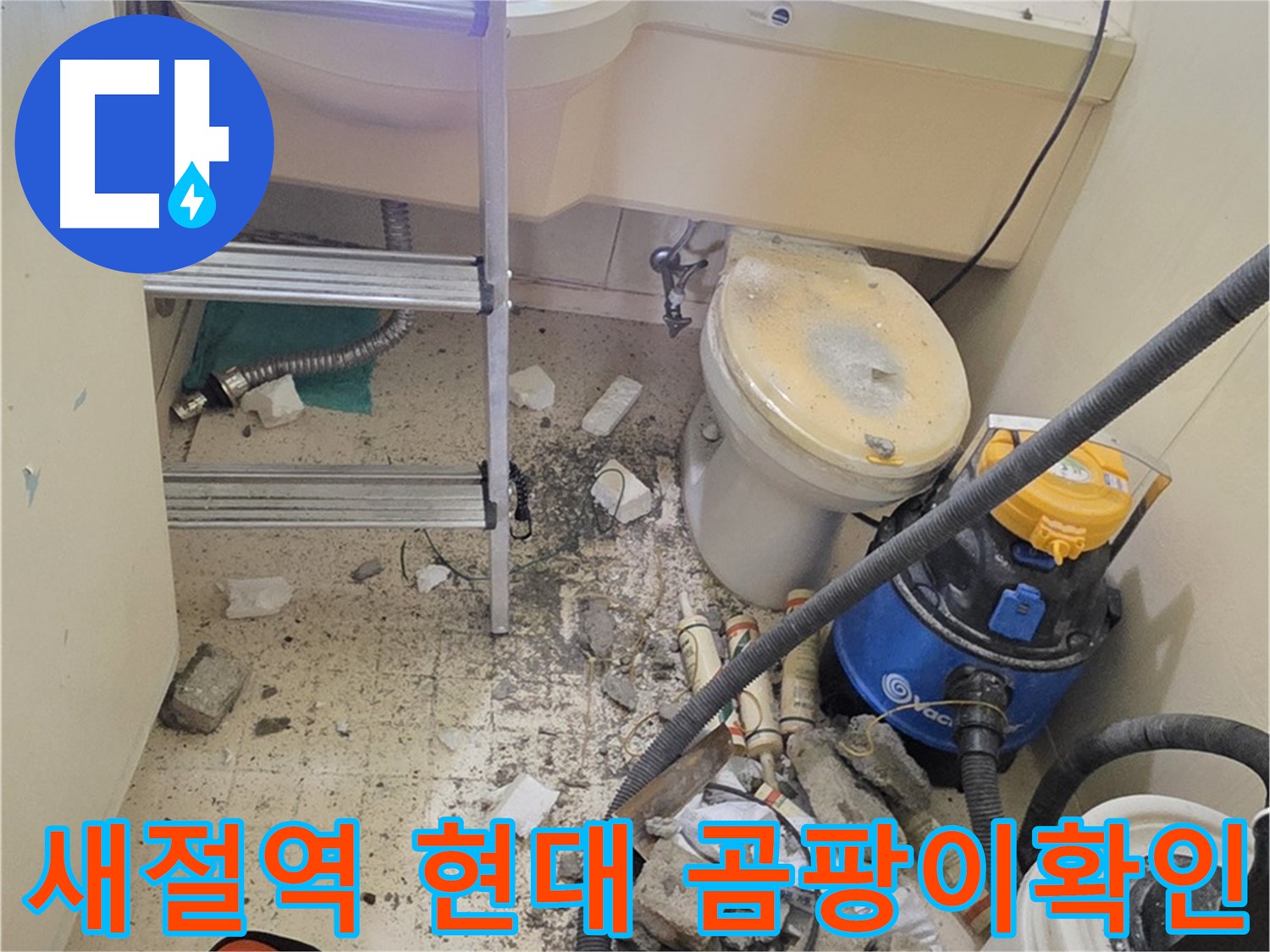 새절역 현대아파트 곰팡이 확인 - 꼼꼼하게 확인