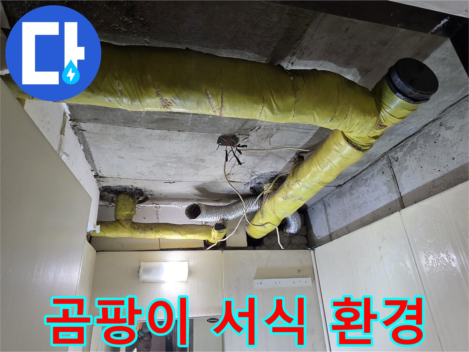 새절역 현대아파트 - 습기 찬 보온재