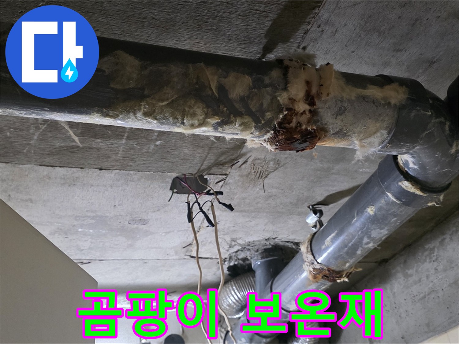 신사동 새절역현대아파트 누수 - 곰팡이 핀 낡은 오수 배관 보온재
