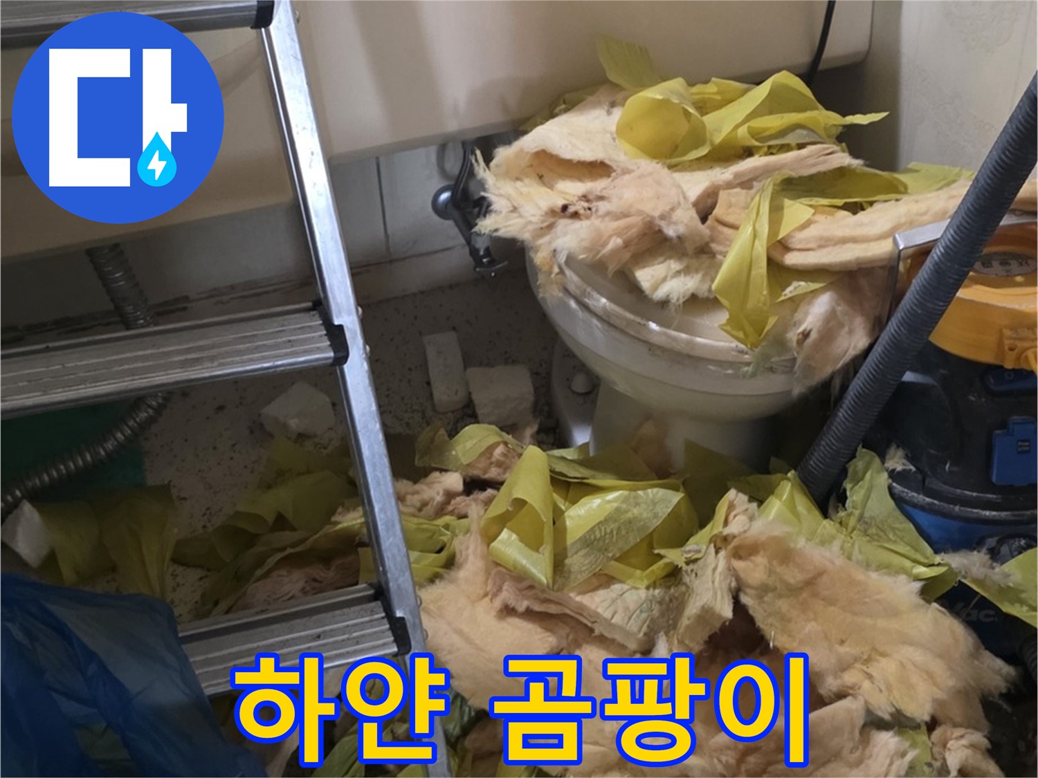 신사동 새절역현대아파트 누수 - 보온재 속 하얀 곰팡이, 건강 위협 - 주의