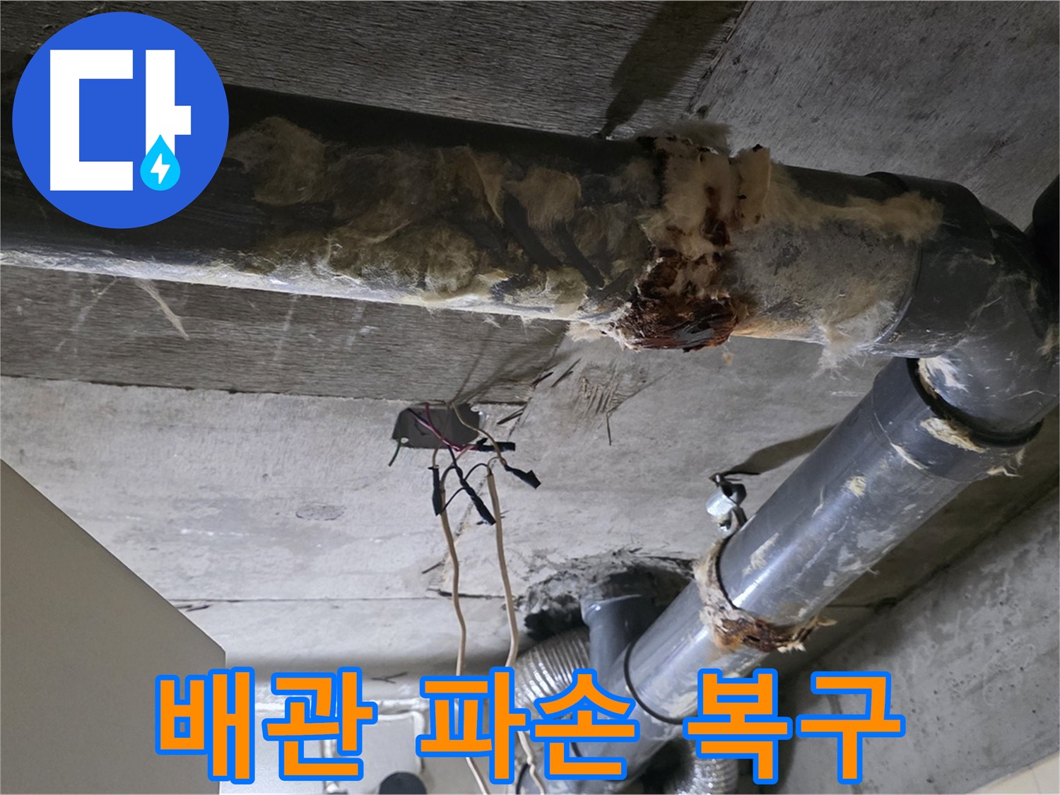 신사동 새절역현대아파트 누수 - 오수 배관 파손 빠른 복구