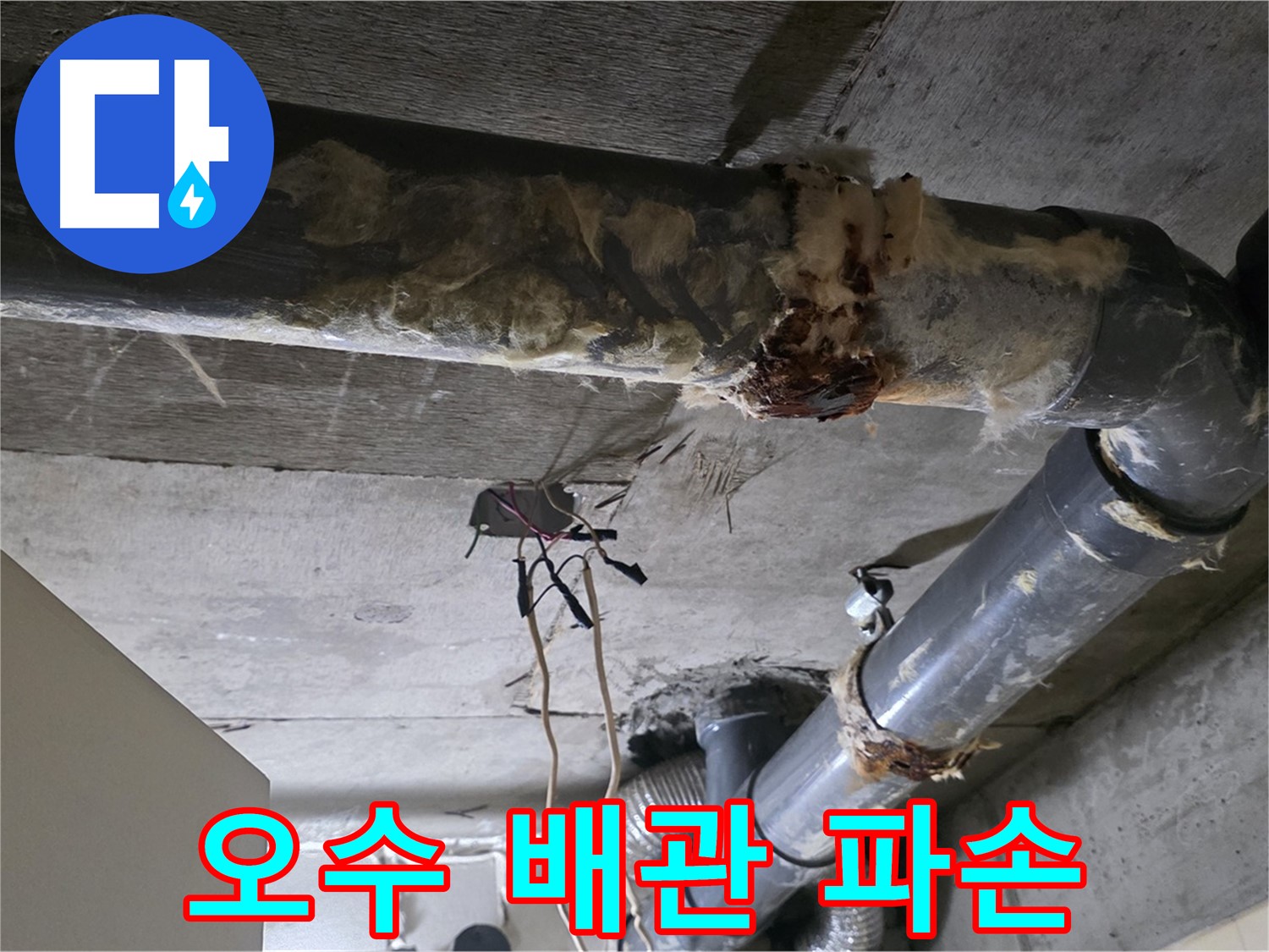 신사동 새절역현대아파트 누수 - 오수 배관 파손으로 인한 누수