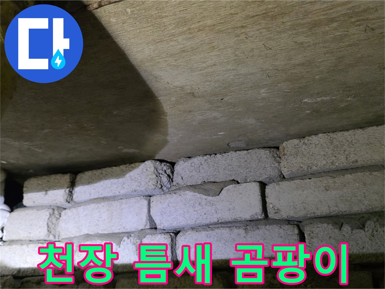 신사동 주택 누수 - 천장 벽돌 틈새 습기 및 곰팡이 발생