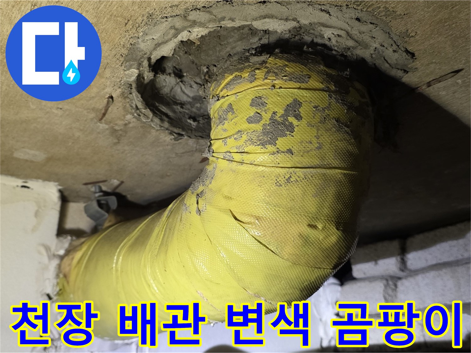 신사동 - 천장 배관 심한 변색 - 곰팡이 발생, 누수 의심