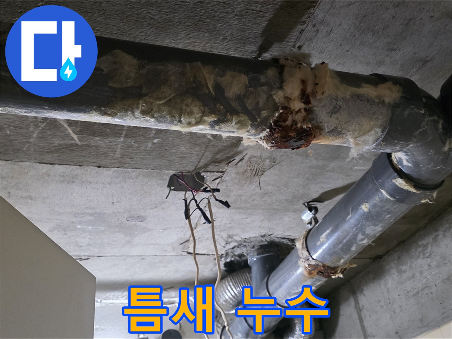 신사동 현대아파트 누수 - 오수 배관 연결부 작은 틈새 누수