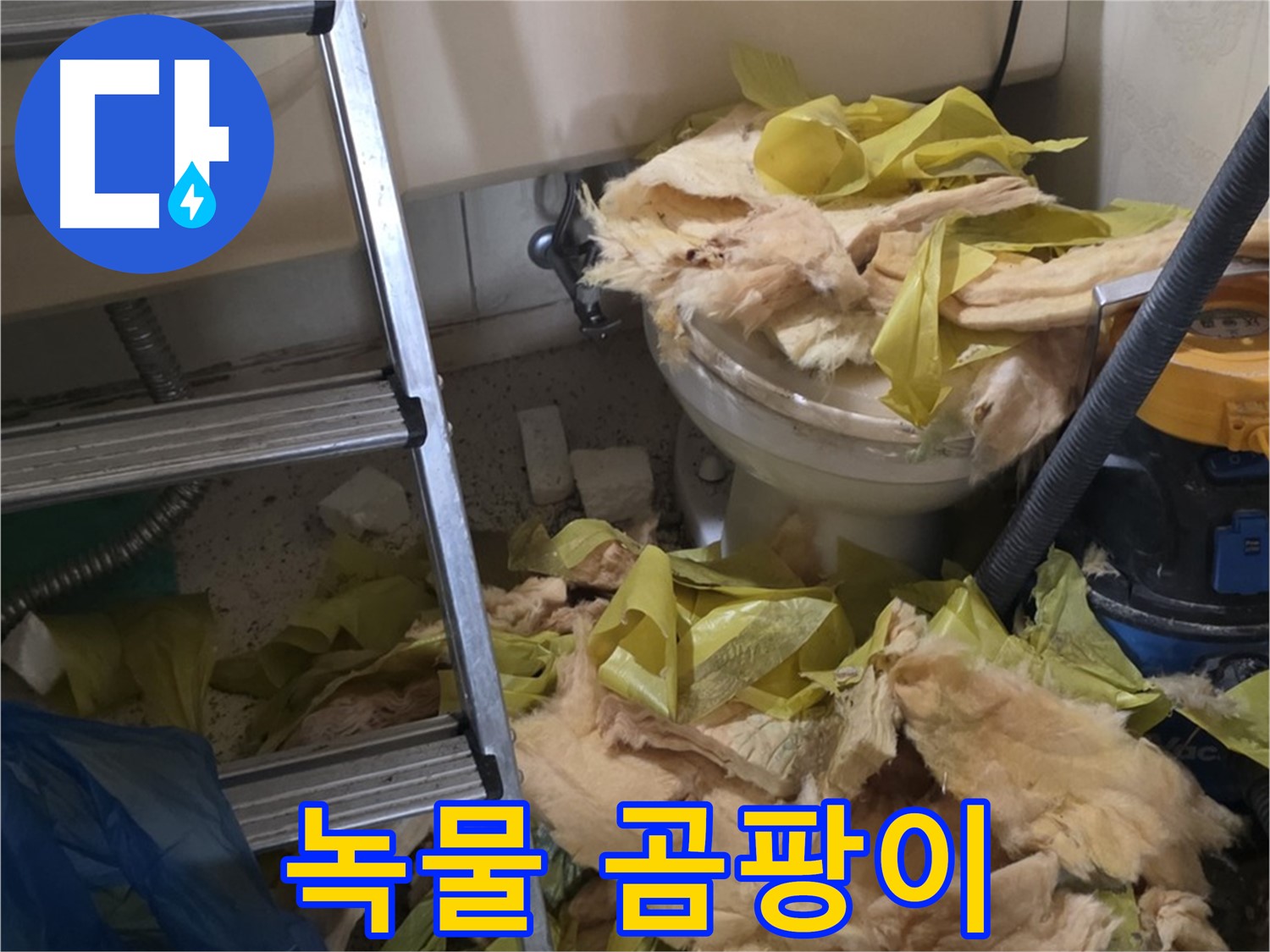 은평구 누수 현장 - 녹물과 곰팡이로 오염된 배관 - 수질 오염 비상