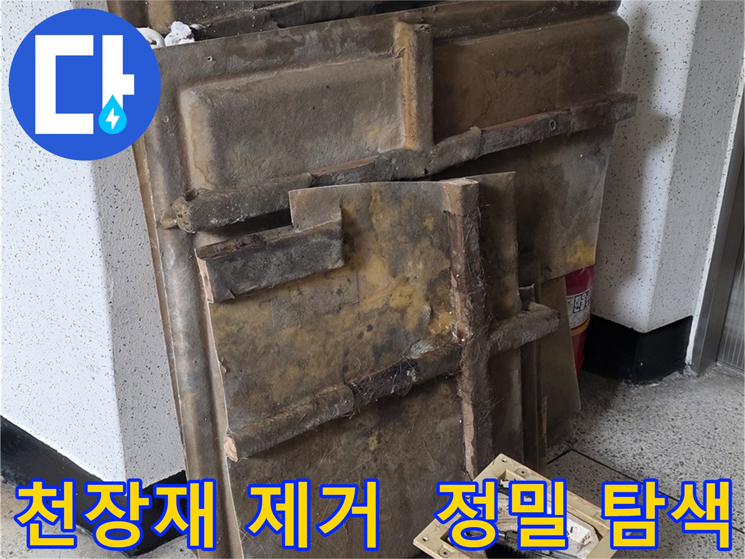 천장재 제거 후 누수 원인 정밀 탐색!