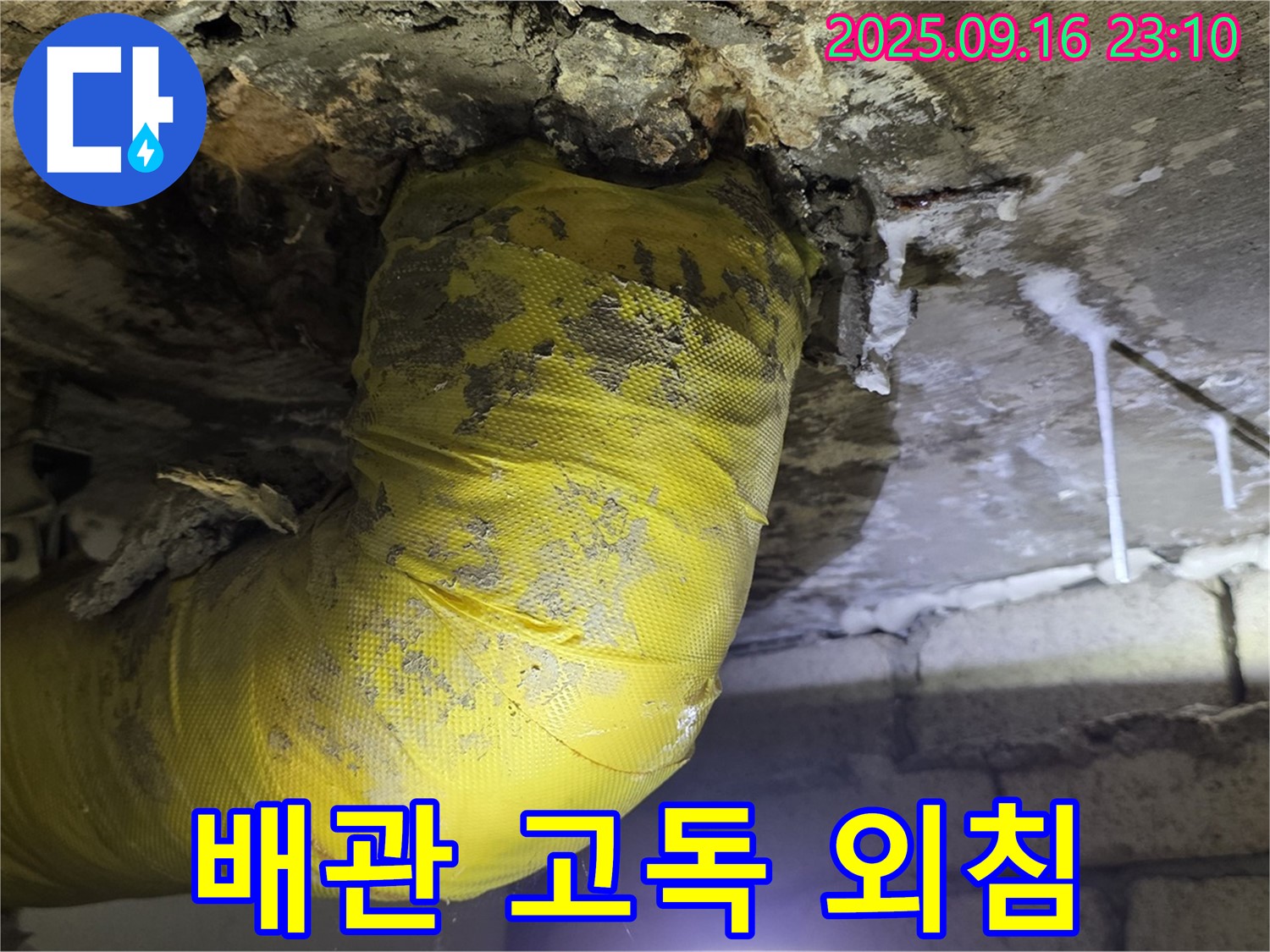 콘크리트 속 노란 배관 - 고독하게 누수를 외치고 있습니다.