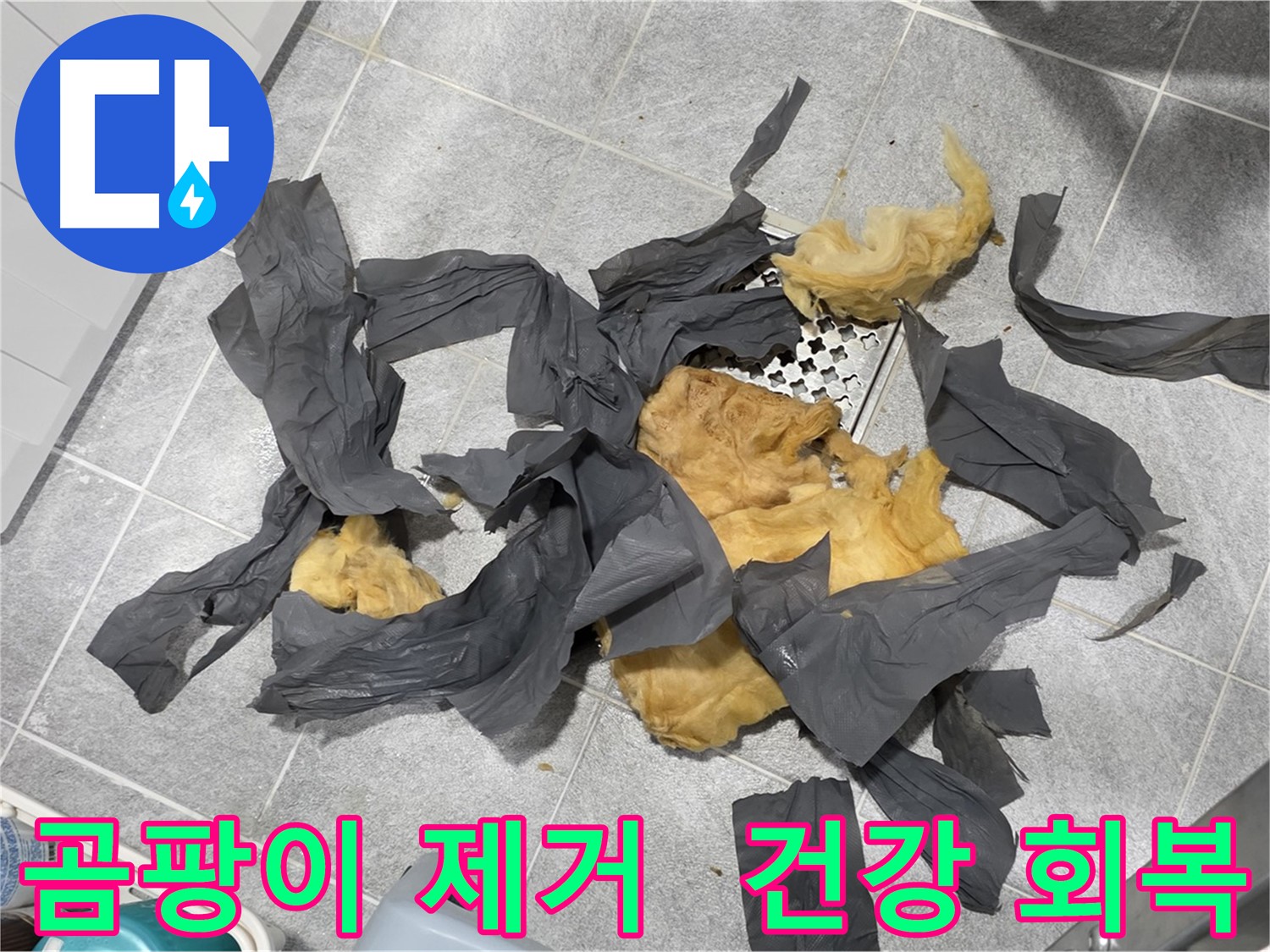 곰팡이 방음재 제거 - 건강을 되찾으세요