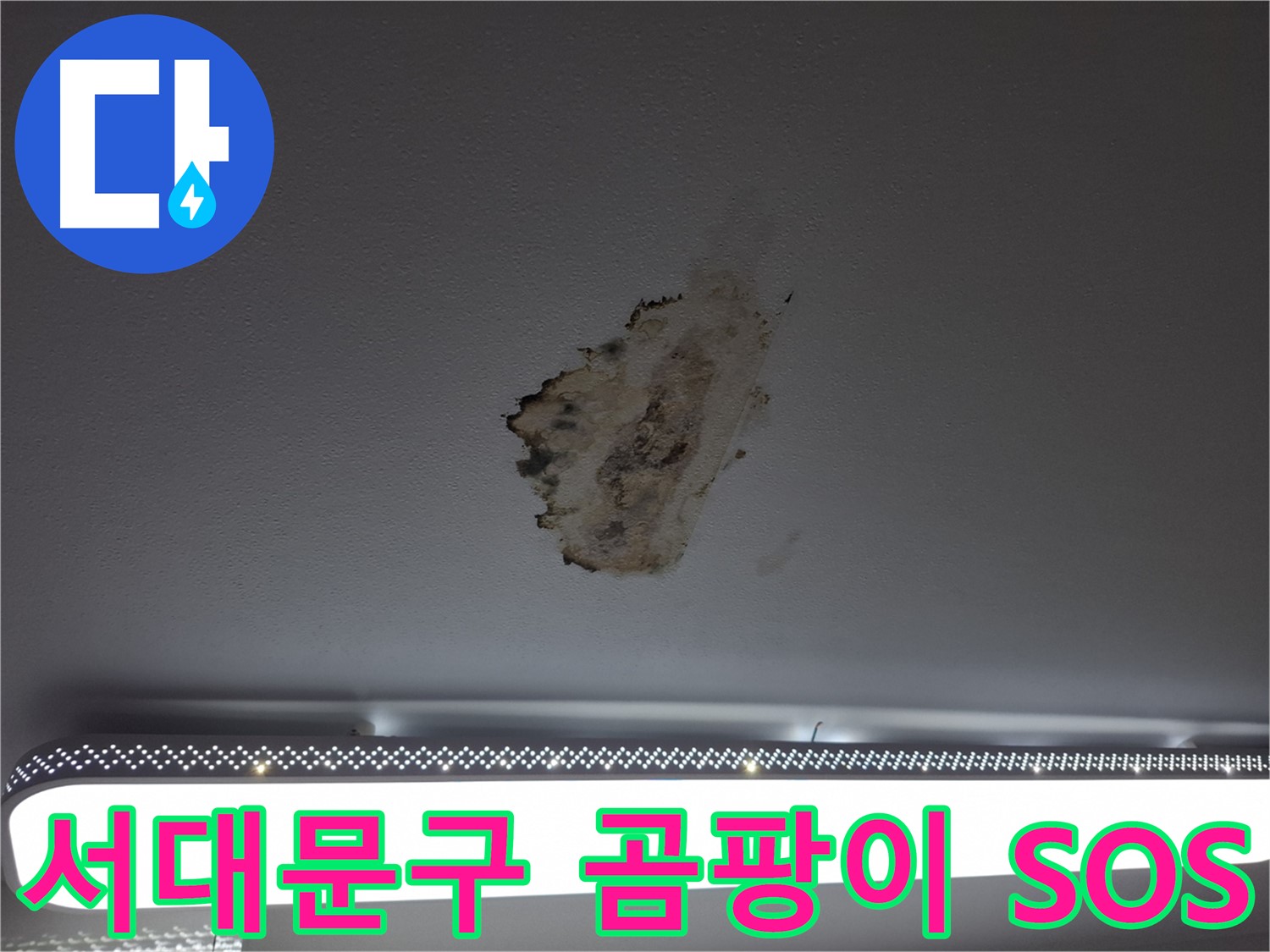 곰팡이 핀 천장 - 긴급 구조 요청에 응답합니다