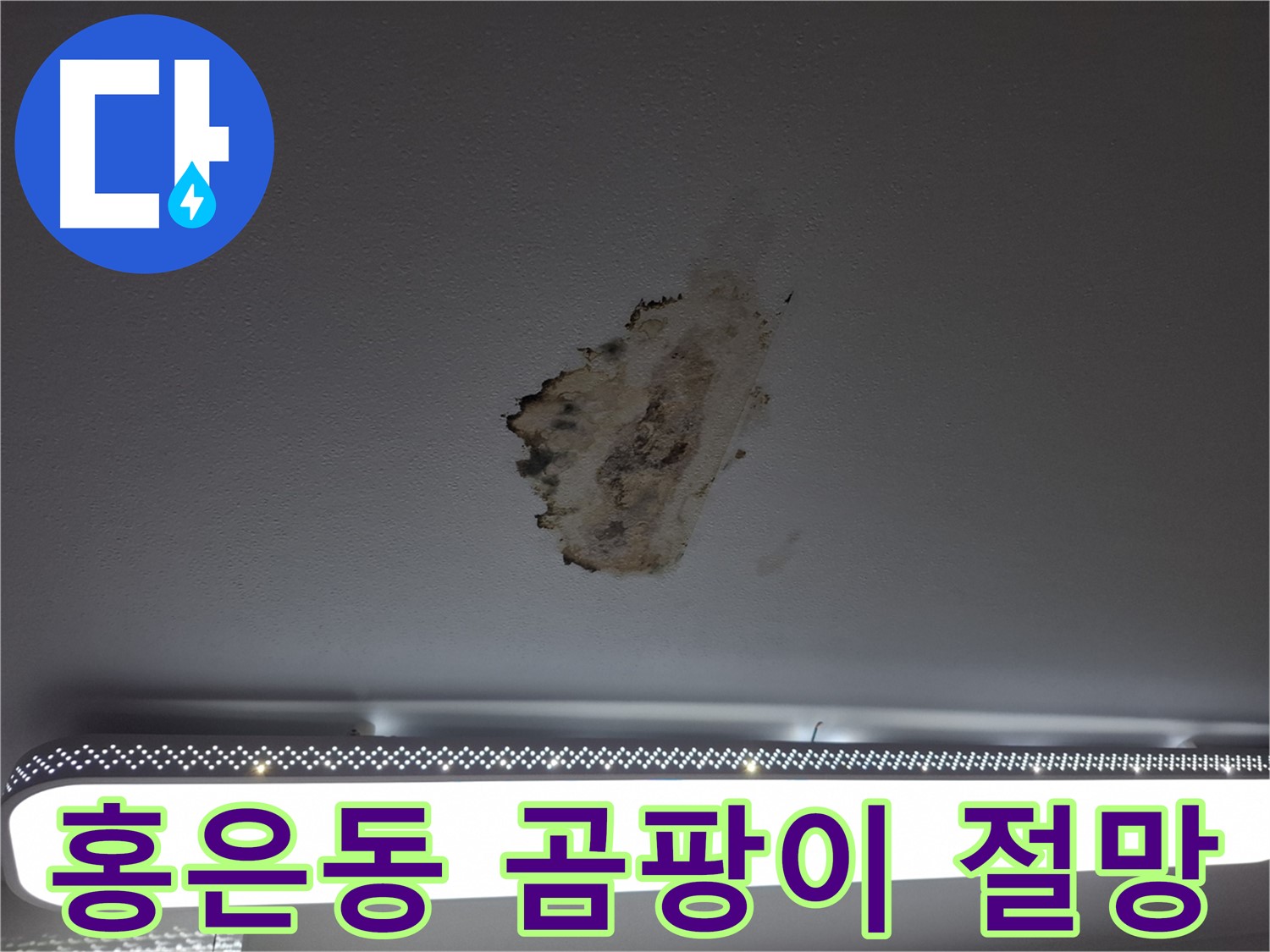 곰팡이 핀 천장 - 절망을 보다