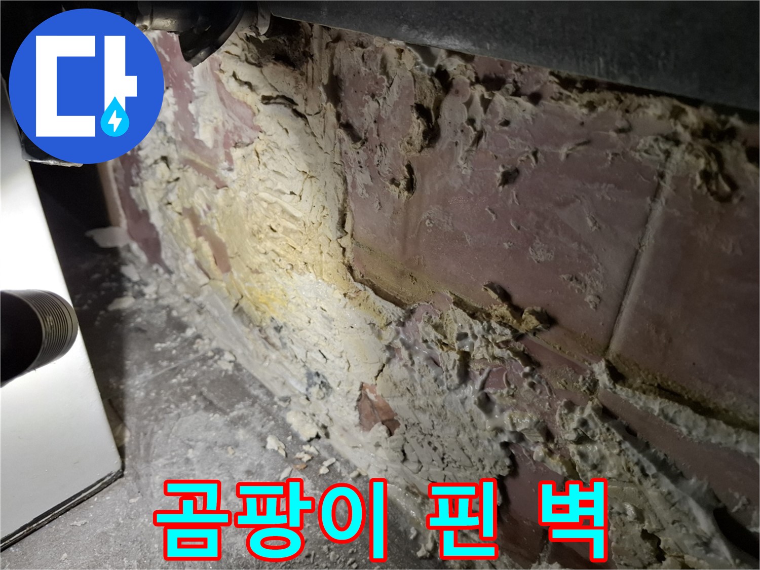 서대문구 홍은빌라 누수 - 곰팡이 핀 벽면
